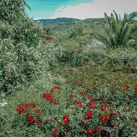 De Charme Piscine Au Calme En Pleine Nature Hébergement de vacances *